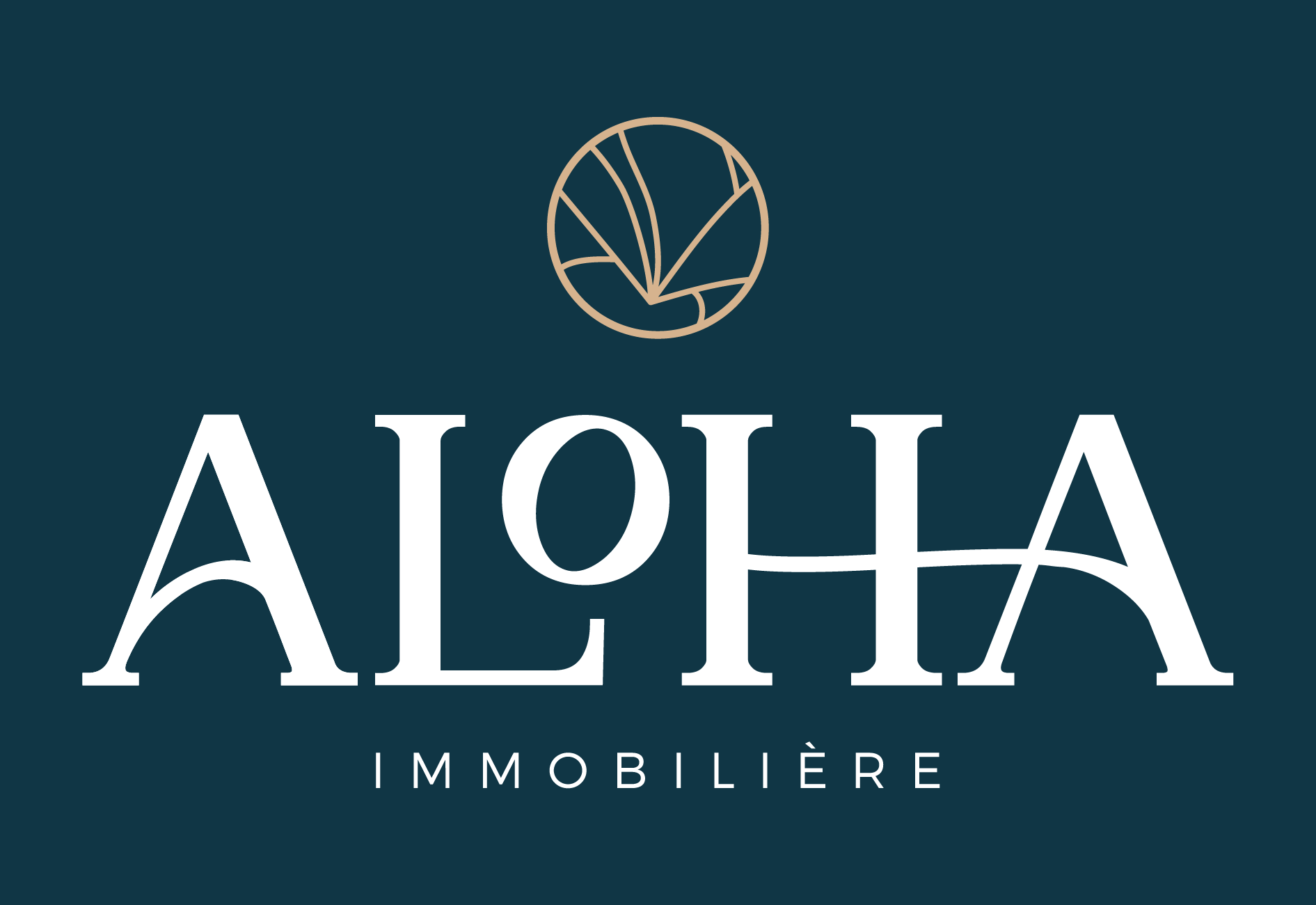 Logo d'Aloha Immobilière